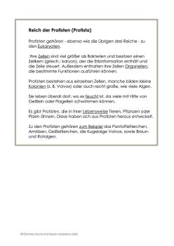 5 Reiche Textkarten